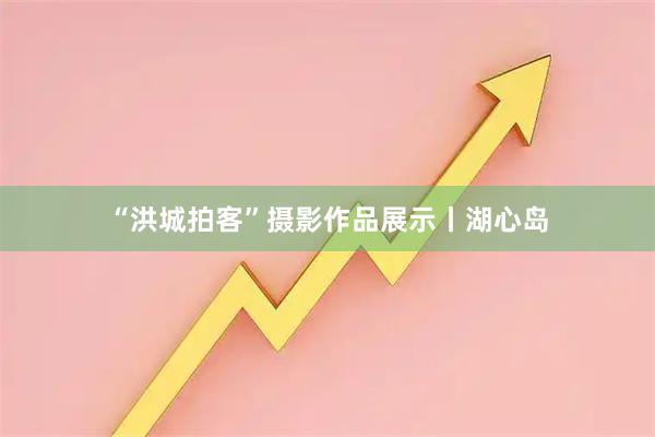 “洪城拍客”摄影作品展示丨湖心岛